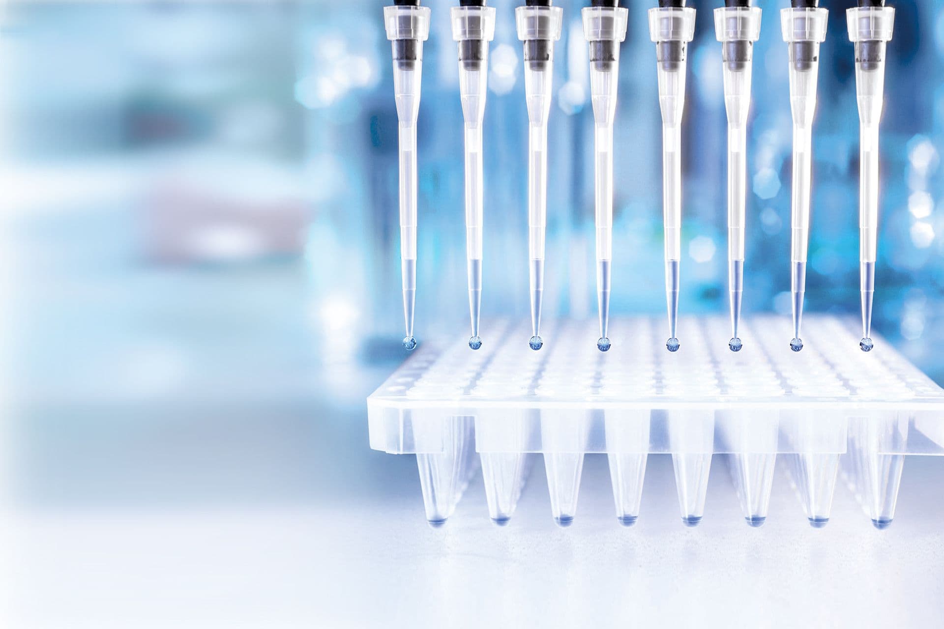 Eine Anordnung von Reagenzgläsern, gefüllt mit Flüssigkeiten in verschiedenen Farben, die nebeneinander stehen.